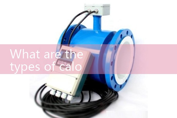 Calorific value mass flowmeter